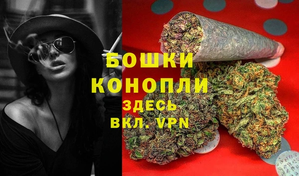 PSILOCYBIN Нягань